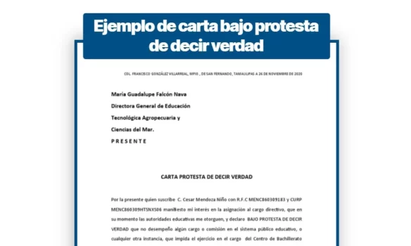 Ejemplo de carta bajo protesta de decir verdad